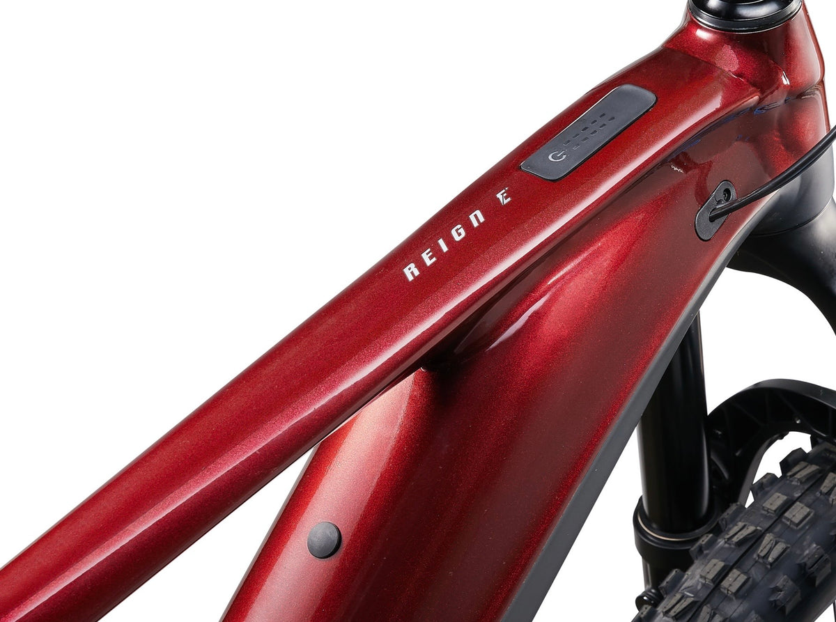 Giant Reign E+2
