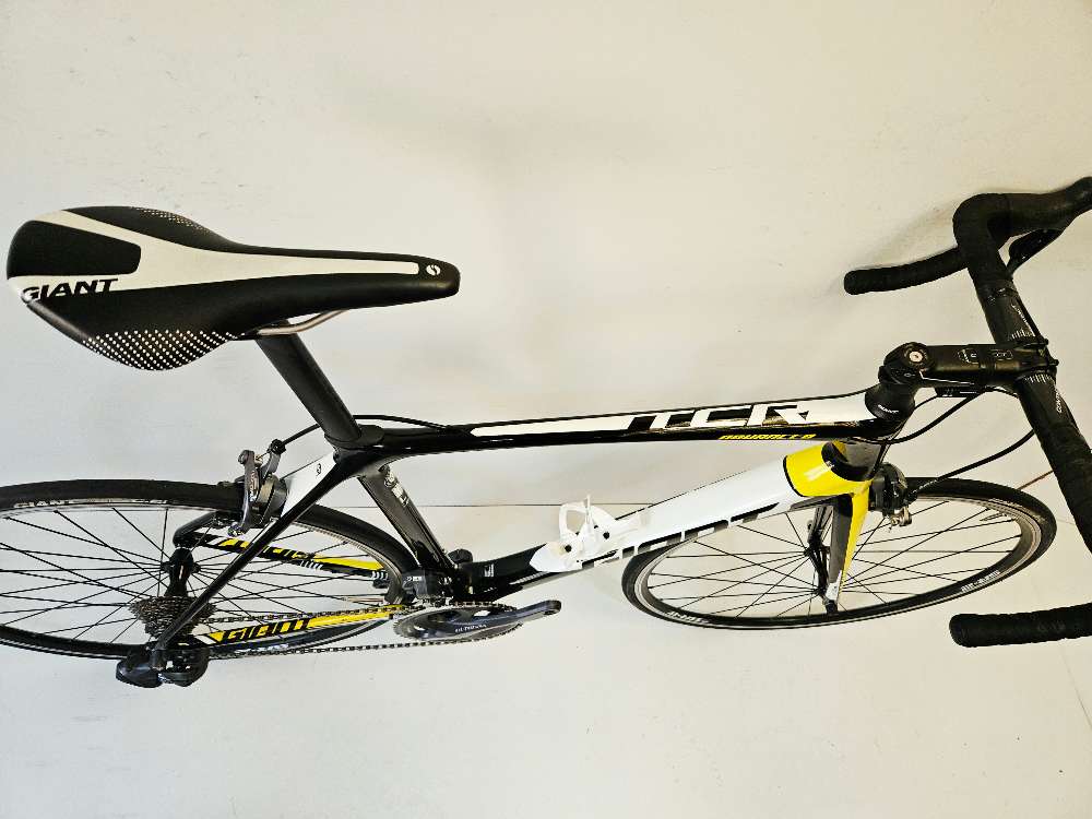 Giant Tcr adv. - L