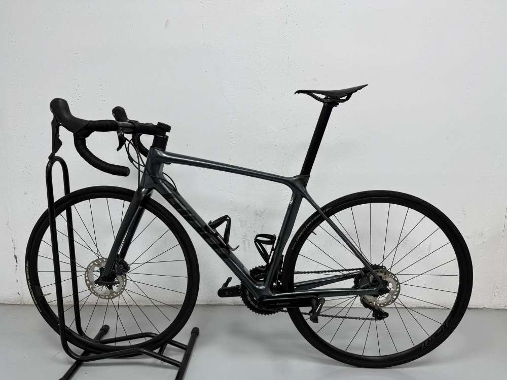 Giant Tcr Adv. Disc - M