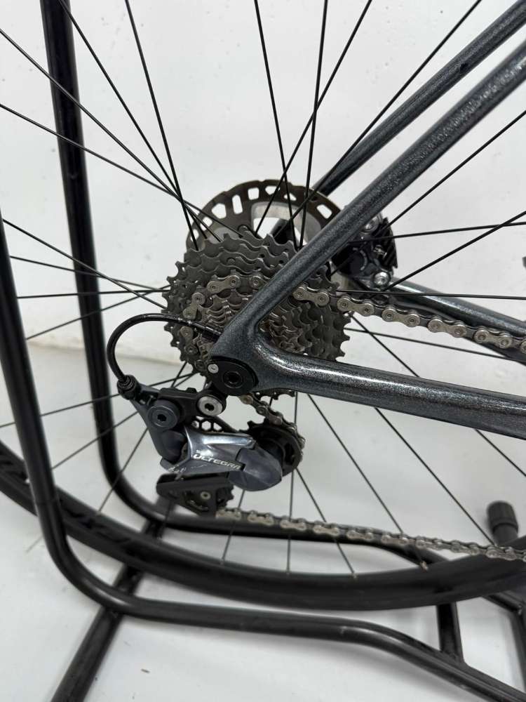 Giant Tcr Adv. Disc - M