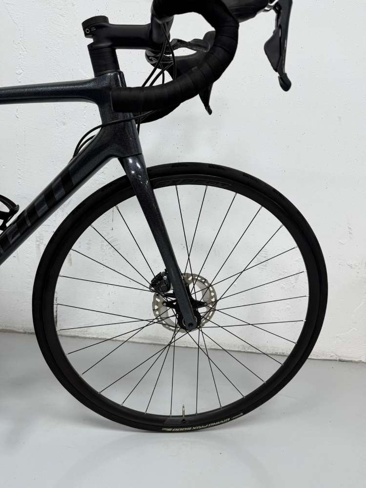 Giant Tcr Adv. Disc - M