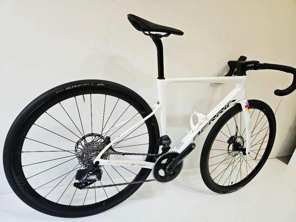 Berria Belador Disc - S