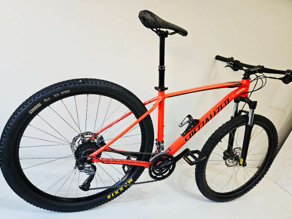 Specialized Rockhopper - L
