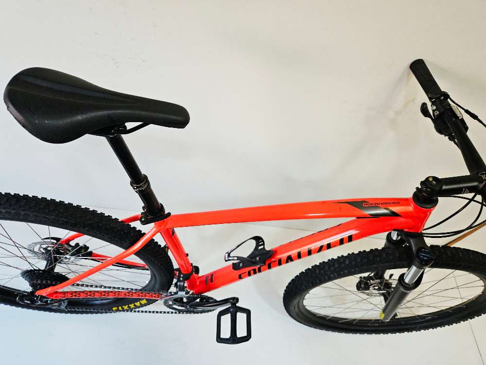 Specialized Rockhopper - L