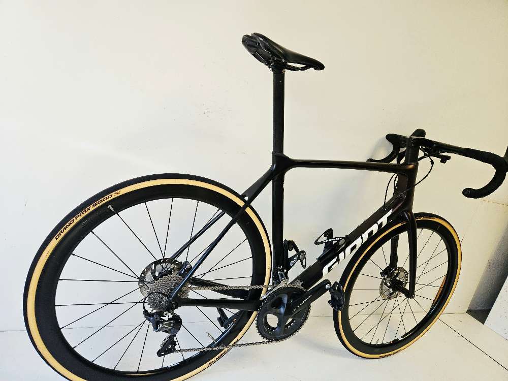 Giant Tcr Adv. Pro 1 - L