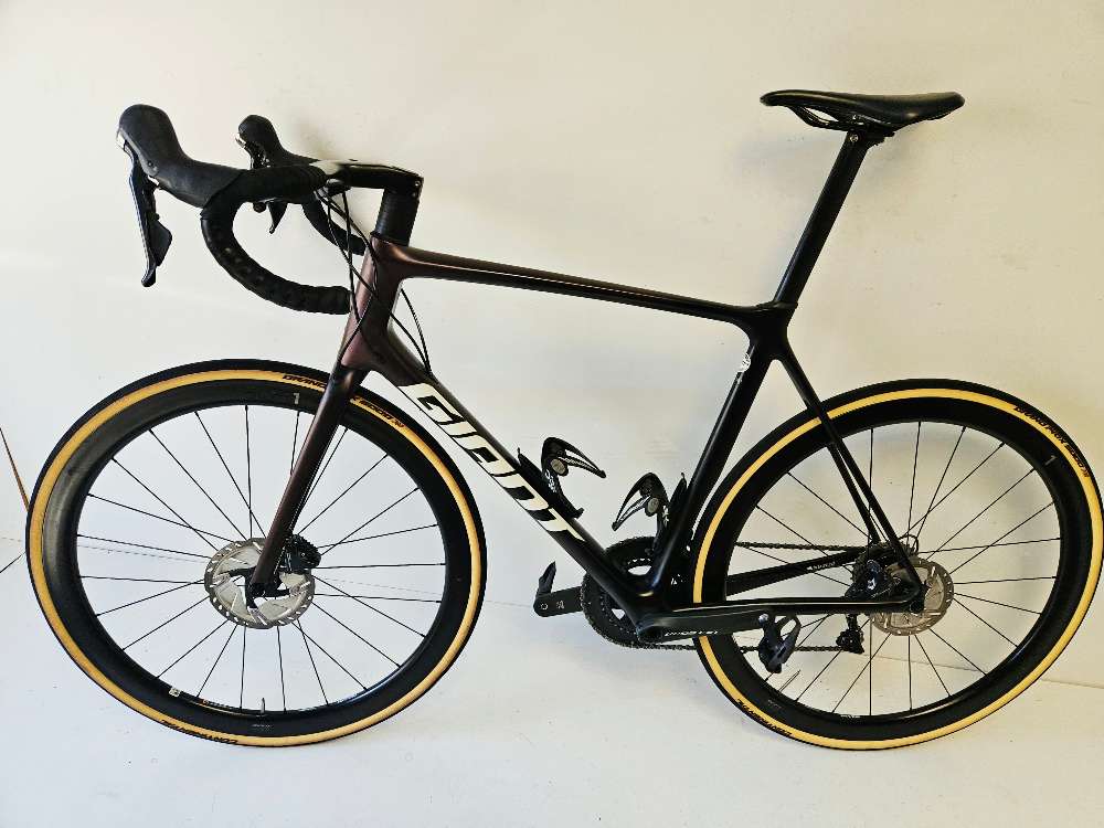 Giant Tcr Adv. Pro 1 - L