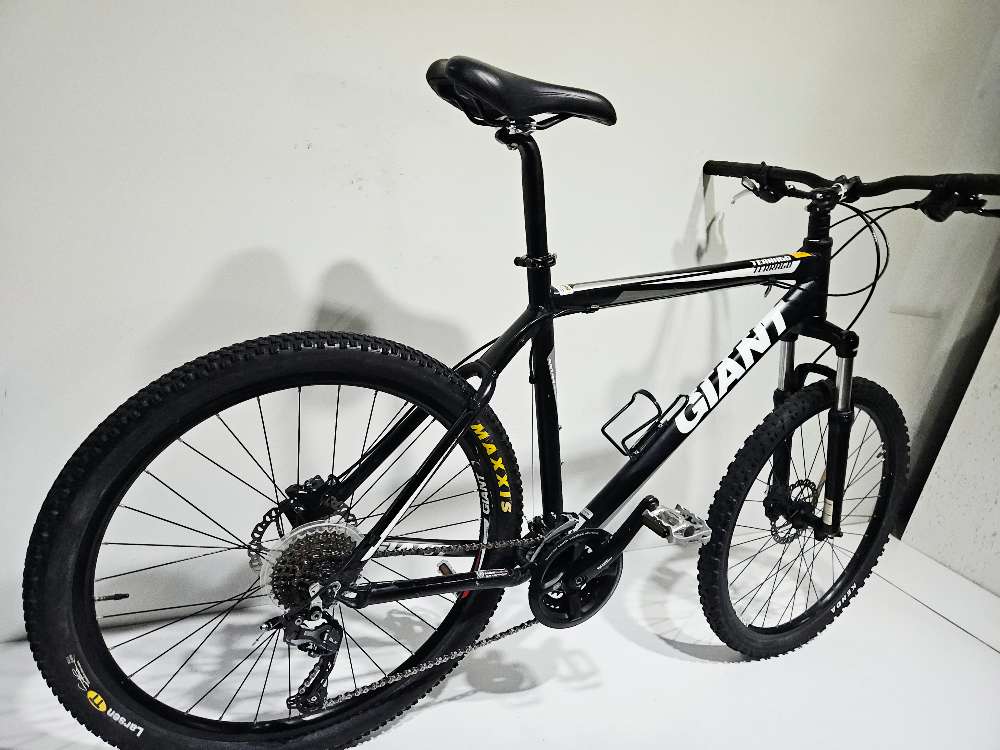 Giant Terrago - L