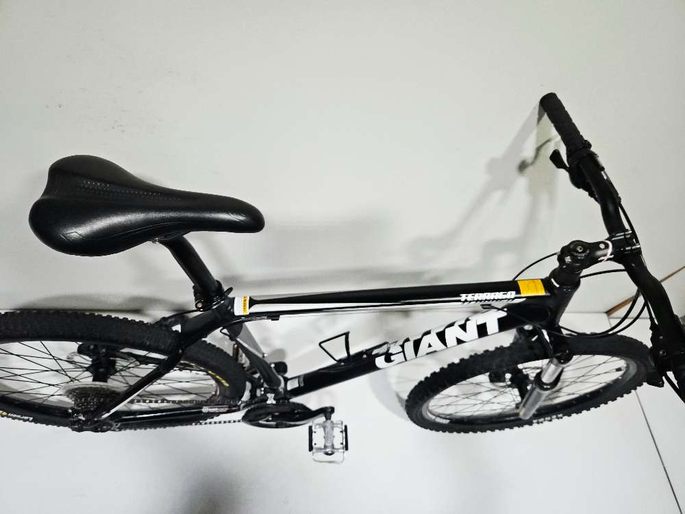 Giant Terrago - L