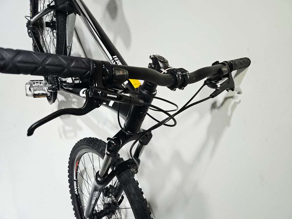 Giant Terrago - L