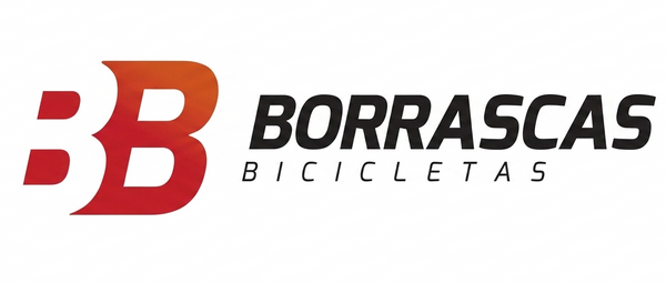 BICICLETAS BORRASCAS